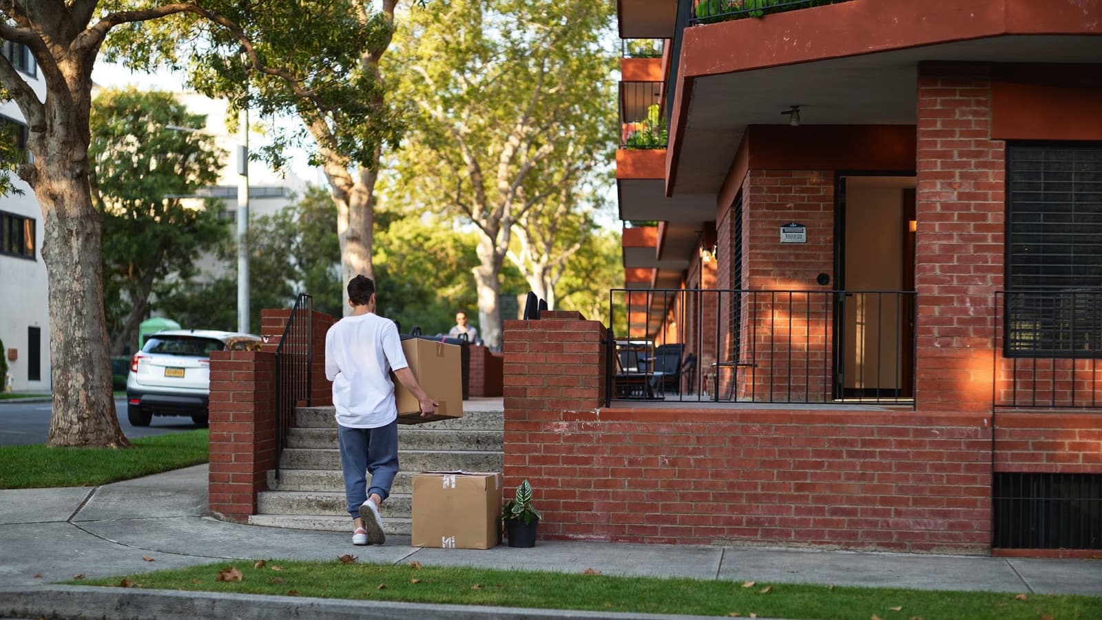 A renter, seen from behind, carries a cardboard moving box up the front steps of a red-brick walk-up apartment block on a leafy inner Sydney street in late afternoon light.